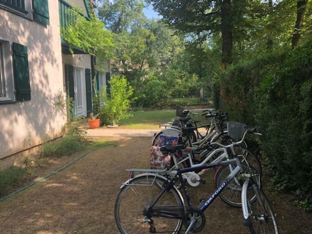 Les Hibiscus Panzió Maisons-Laffitte Kültér fotó